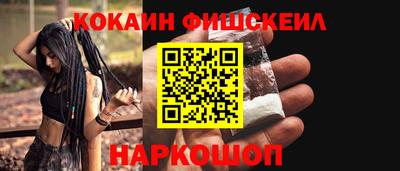 крисы Можга