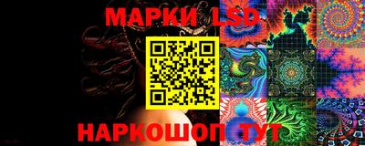 крисы Можга