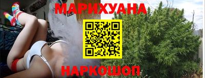 крисы Можга