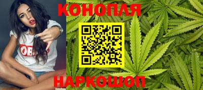 крисы Можга