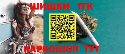 крисы Можга