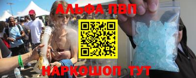 крисы Можга