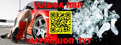 крисы Можга